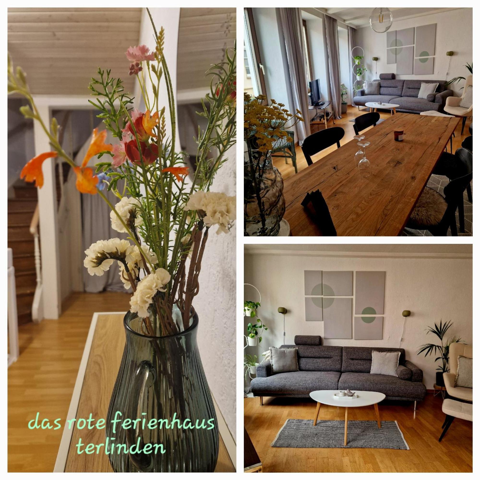 Das Rote Ferienhaus Terlinden 利塞尔 外观 照片